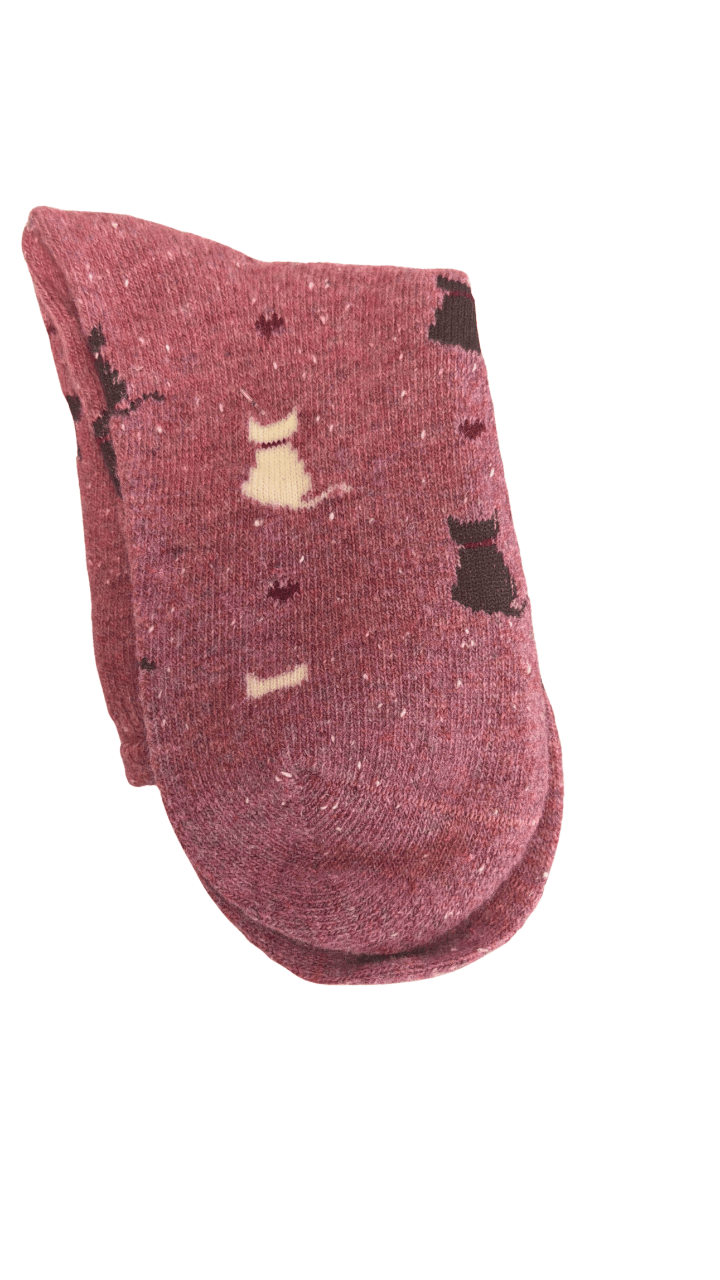 Pair of brown socks with cat designs on a white background